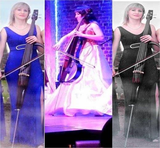 cello artists suez egypt